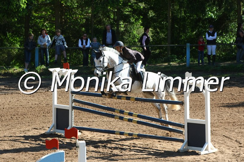 104M8876_Spring M_m.Stechen.JPG